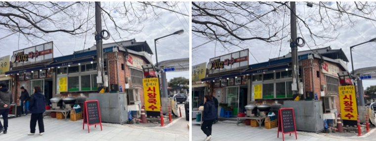 담양 메타세쿼이아길 봄꽃 산책 + 죽녹원시장
