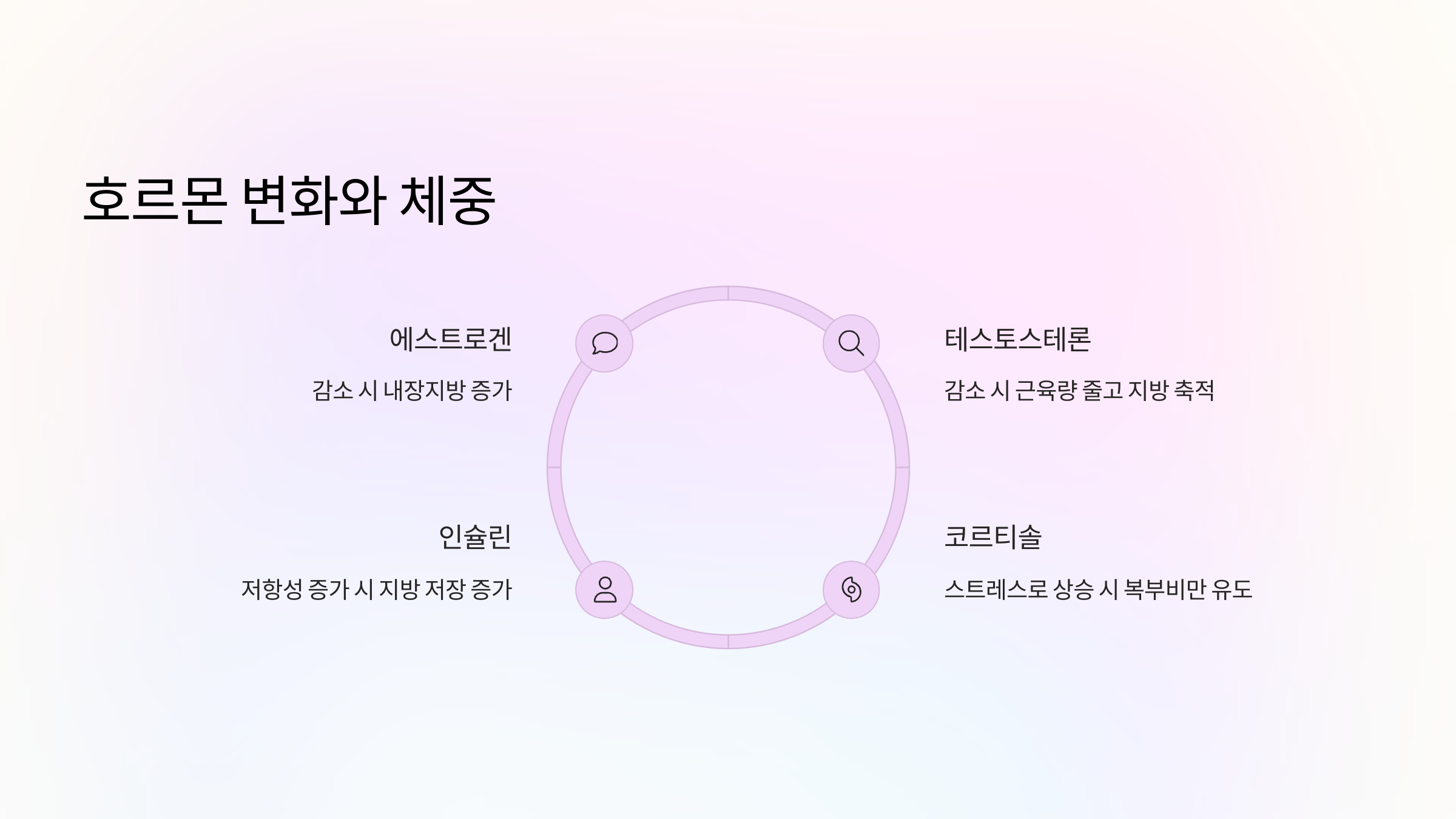 🧪 호르몬 변화가 체중에 미치는 영향