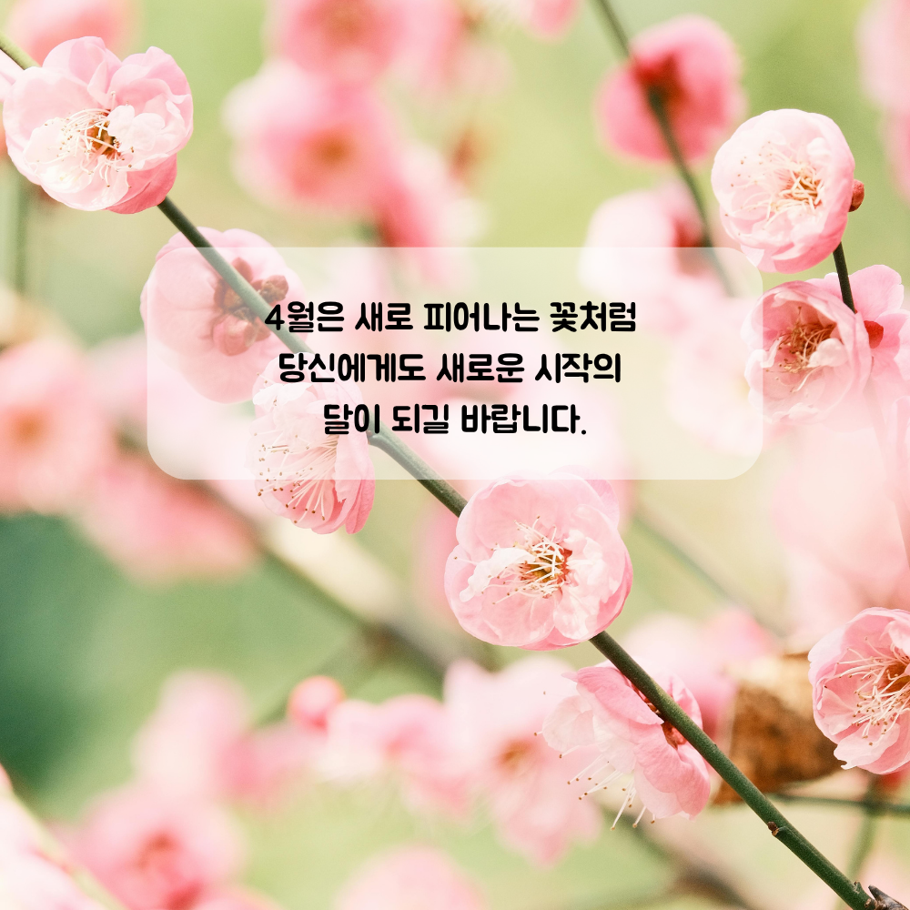 4월 인사말 문구 이미지 모음집 좋은글귀 봄 인사말