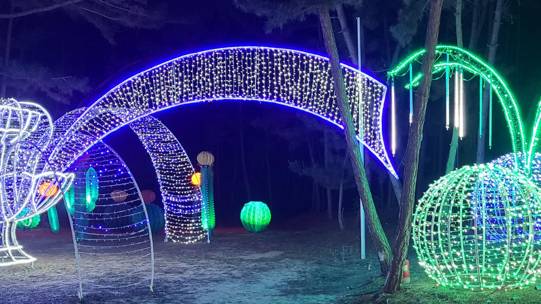 태안빛축제할인방법 태안별빛축제 태안불빛축제 태안애견동반 태안꽃축제 튤립축제 꽃박람회 태안할인