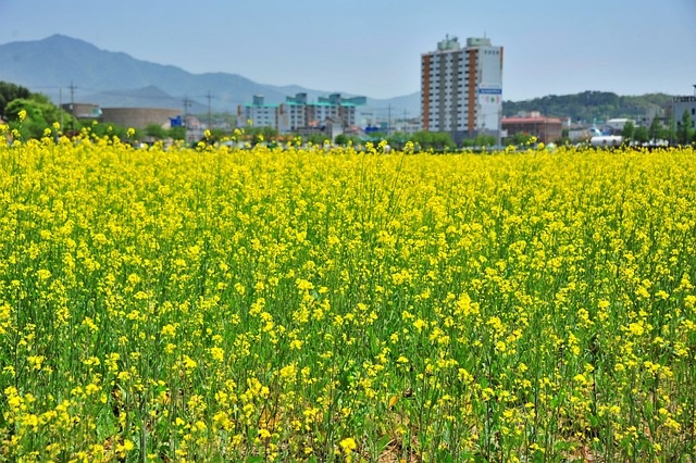 공익직불금 신청