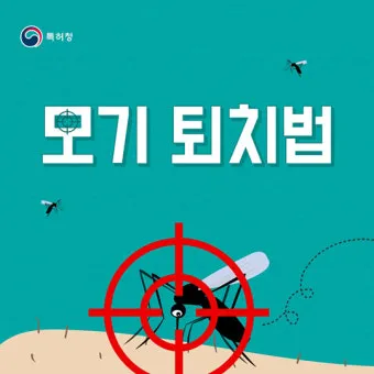 모기 박사님 추천 모기 퇴치법과 여름철 모기 없는 집 만들기 실전 전략_4