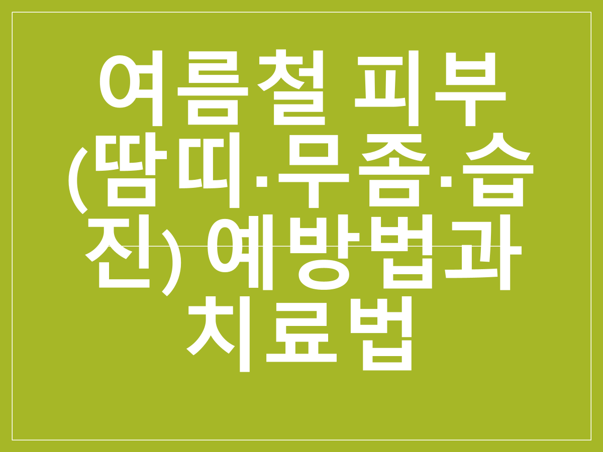 여름철 피부질환(땀띠&middot;무좀&middot;습진) 예방법과 치료법｜고온다습 환경 피부 건강 지키기