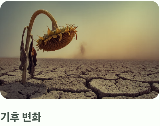 사라질 위기에 처한 소중한 보물