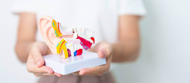 메니에르병 원인과 치료 방법? 재발 예방 생활습관까지!