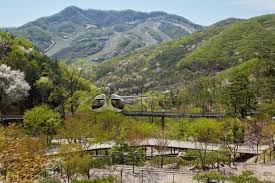 화담숲 어린이&middot;어르신 추천 코스 및 주차 꿀팁 총정리