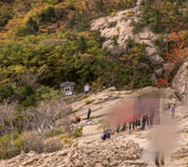 설악산 케이블카 요금