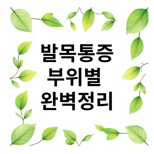 발목통증 부위별 완벽정리