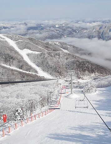 2025/2026 하이원리조트 스키장 시즌권 렌탈 할인 완벽 가이드