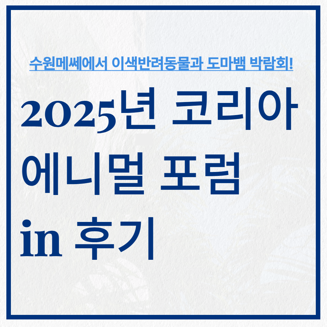 2025 코리아 애니멀 포럼 후기