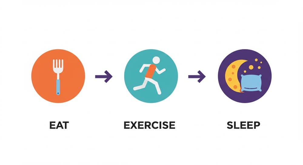 역류 줄이는 하루 타임라인 인포그래픽