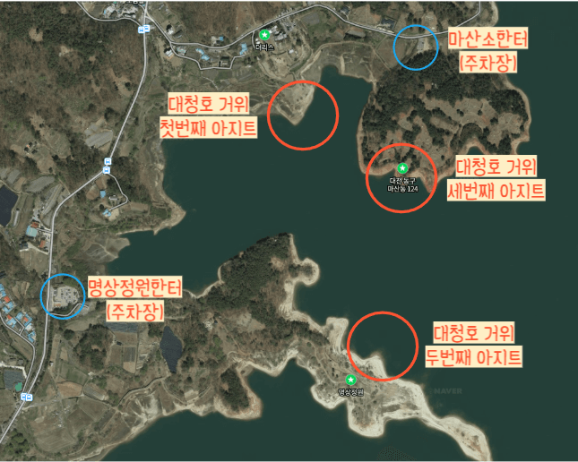 대청호 거위 아지트