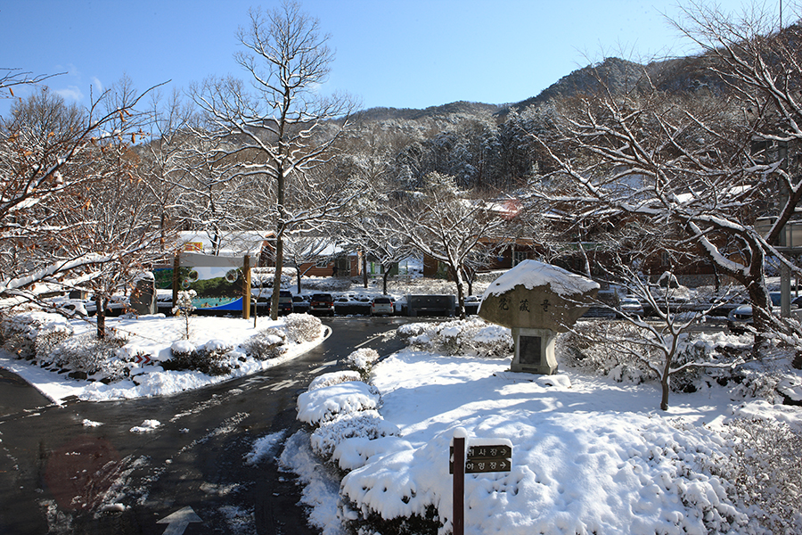 보령머드축제 2025 예매 꿀팁