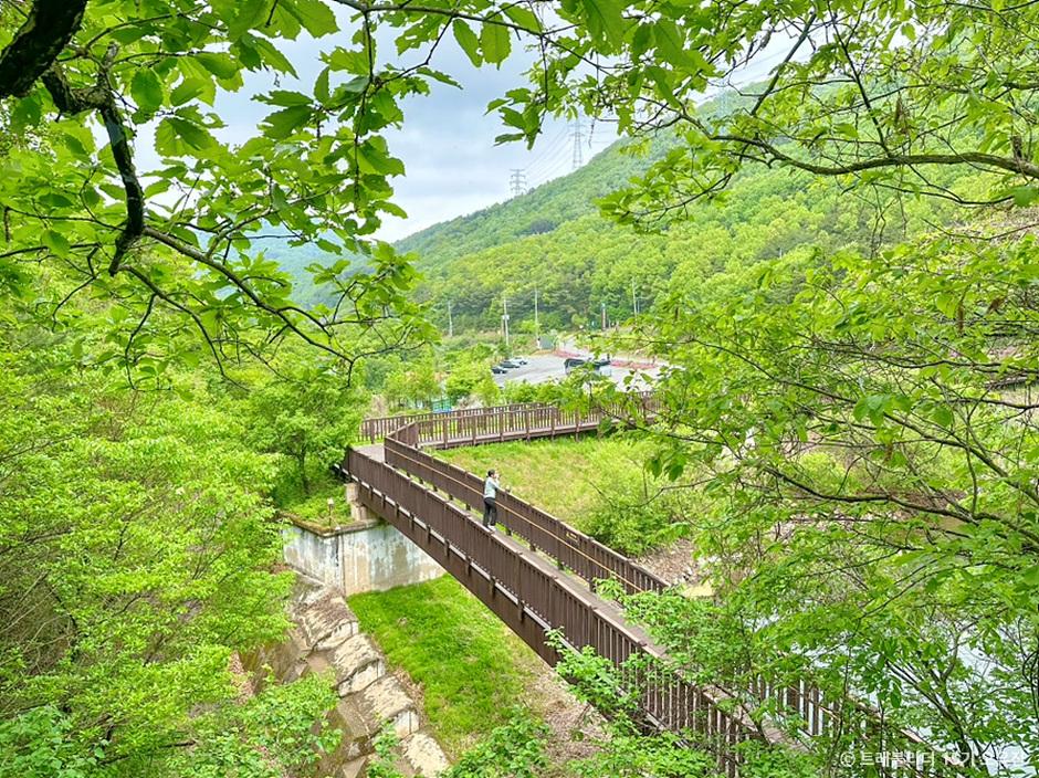 국립 칠곡 숲체원