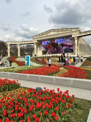 에버랜드 자유이용권 할인 최신 정보