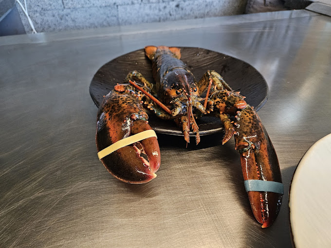 수지 신봉동 철판요리집 '애나의정원'