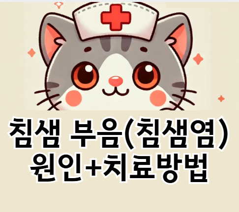 침샘 부음 원인과 치료법 – 빠르게 낫는 해결책 총정리