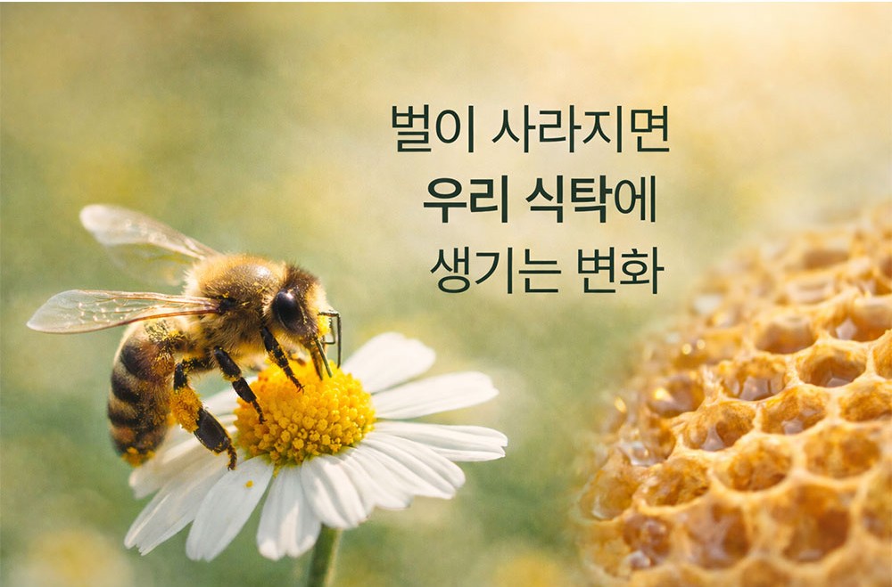 벌이 사라지면 우리 식탁에 생기는 변화