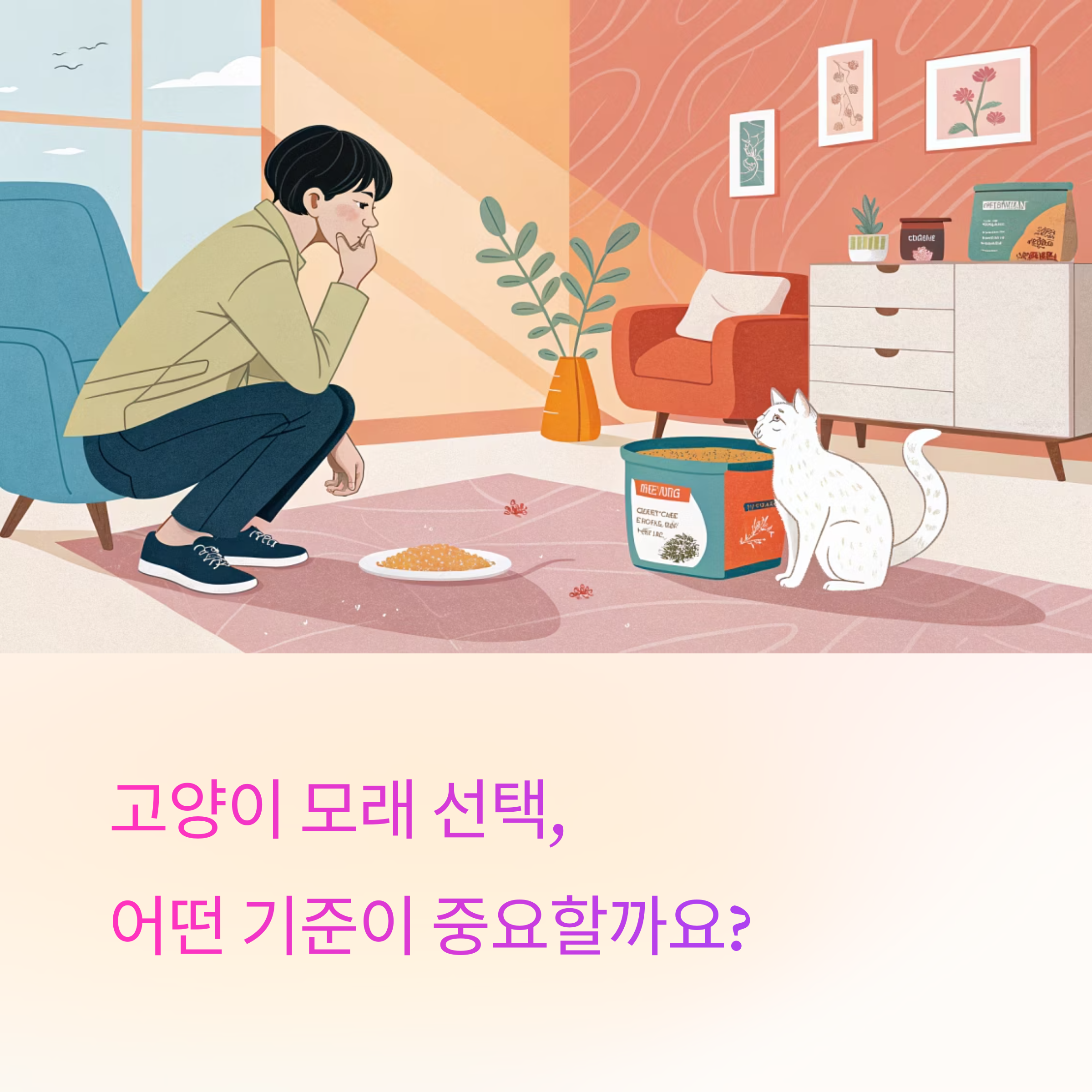 고양이 모래, 어떤 기준으로 골라야 할까?