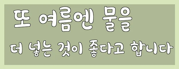  또 여름엔 물을 더 넣는 것이 좋다고 합니다