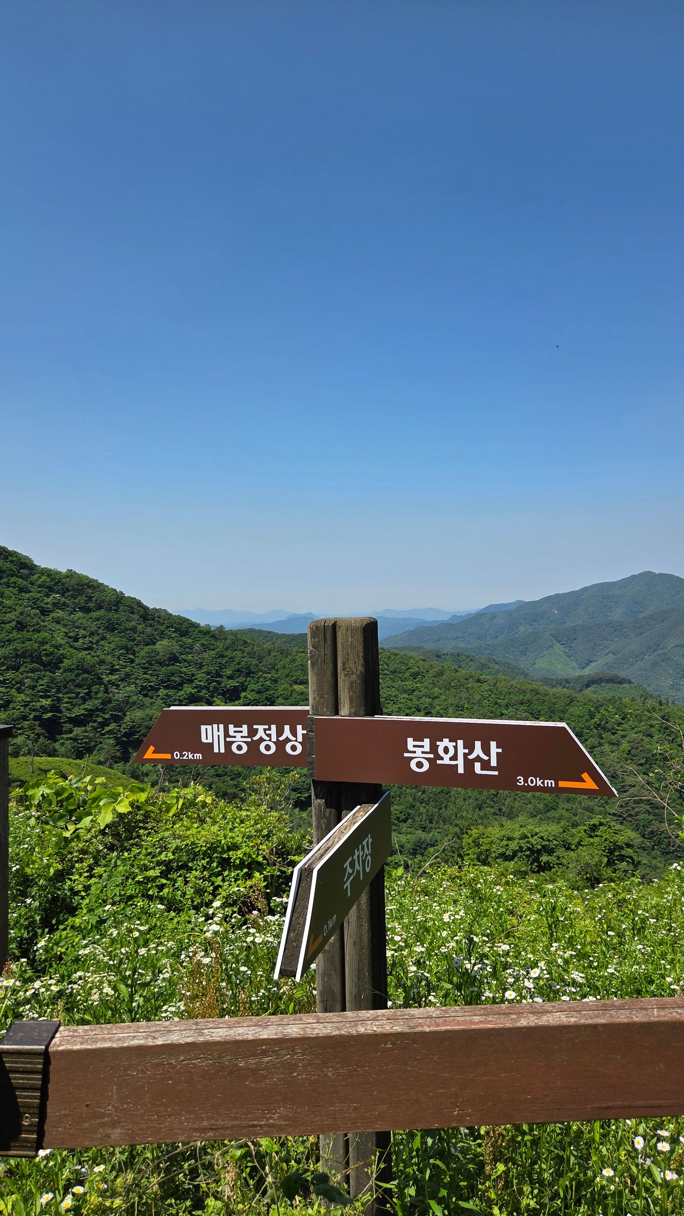 백두대간 복성이재-무령고개 치재