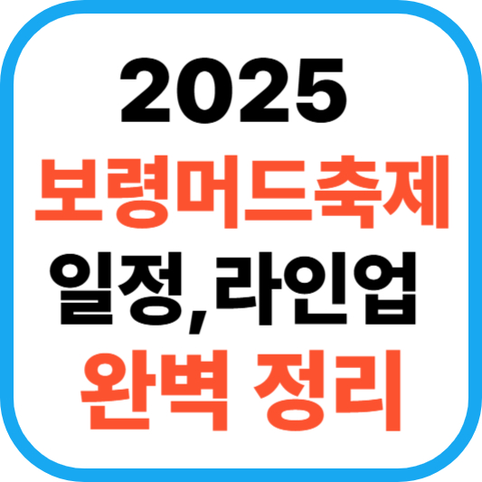 2025 보령머드축제 : 일정, 라인업, 꿀팁, 완벽 정리