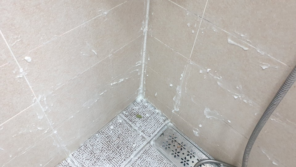 자취생을 위한 친환경 욕실 곰팡이 제거법