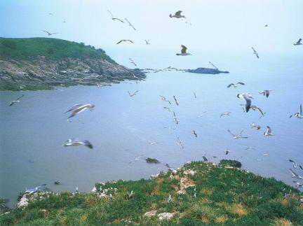 영광칠산도 사진