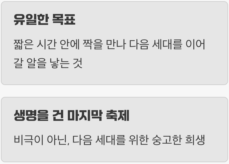 오직 단 하루를 위한 비행