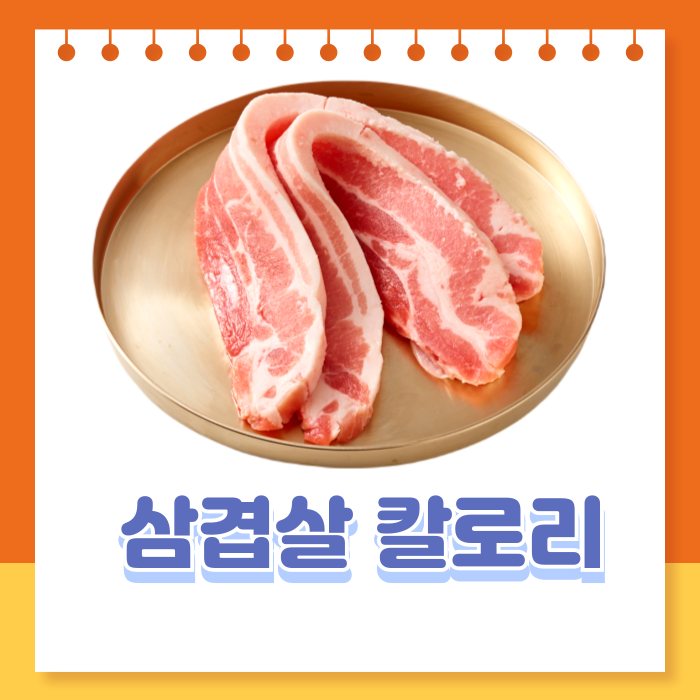 삼겹살한줄칼로리 100g칼로리 영양성분