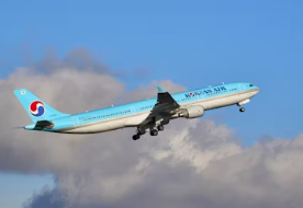 인천공항 주차요금, 주차대행