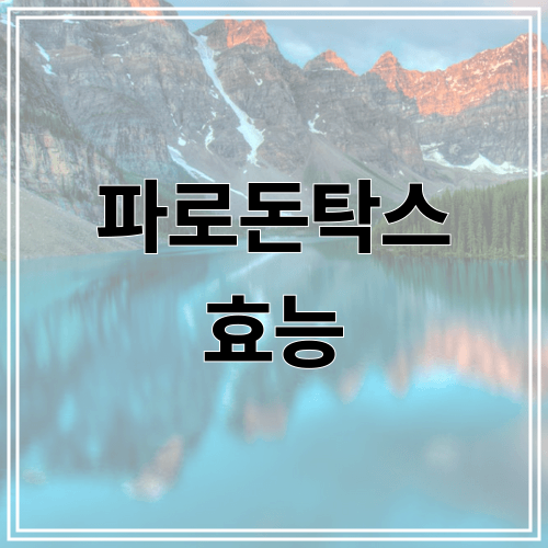 파로돈탁스 효능