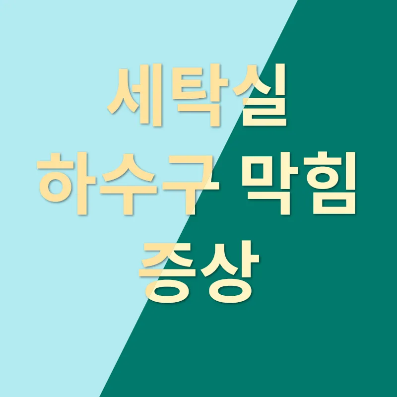 세탁실 하수구 막힘_2