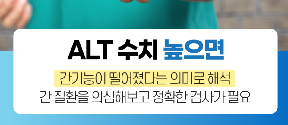ALT수치-사진3