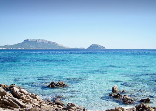 2025년 5월 2일 임시공휴일 총정리 관련 사진