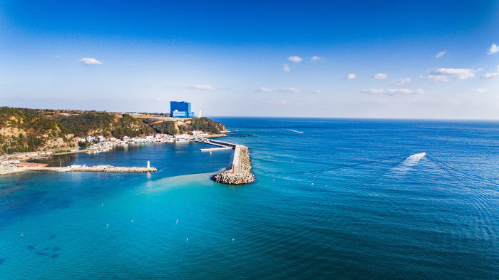 강릉역 기차시간표