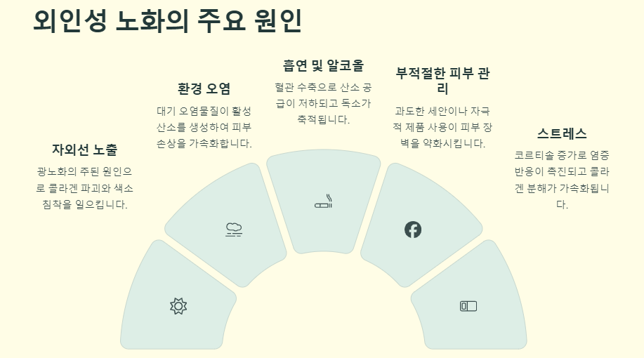 피부 노화 원인 및 예방법(방지비법)
