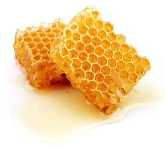 프로폴리스 효능, 부작용 총정리 (2024ver)