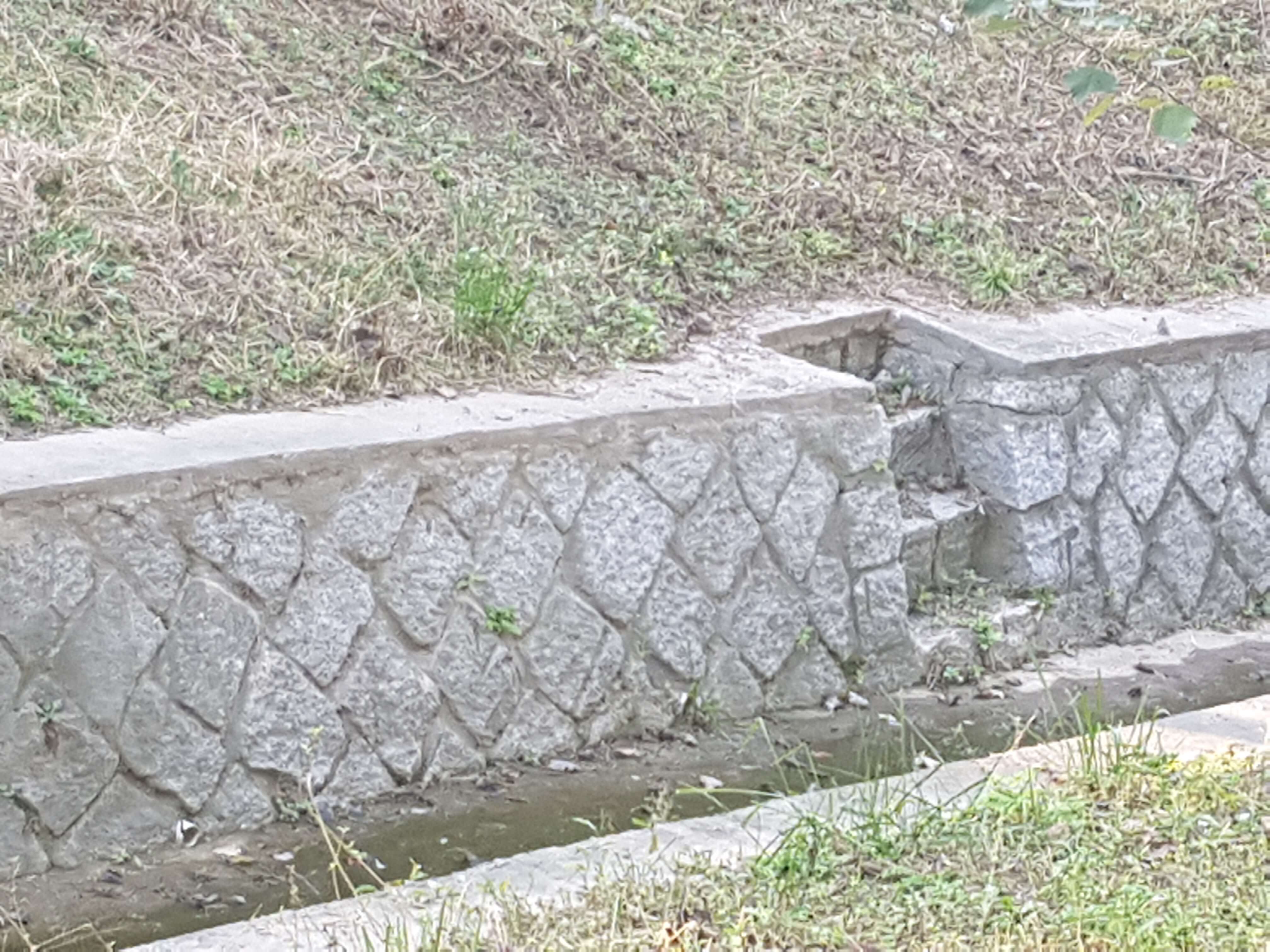 견치석