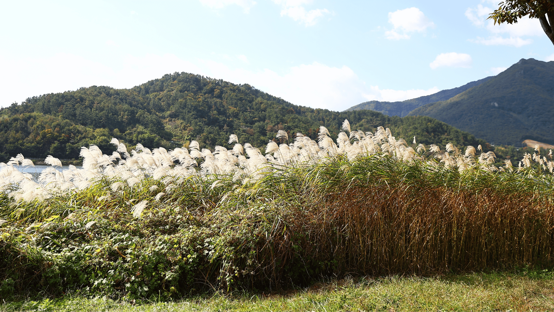 11월에 떠나는 국내 가을 여행지 추천