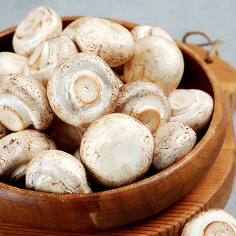 양송이버섯 제철 손질법과 볶음 요리 보관까지 전부 알려드립니다_19