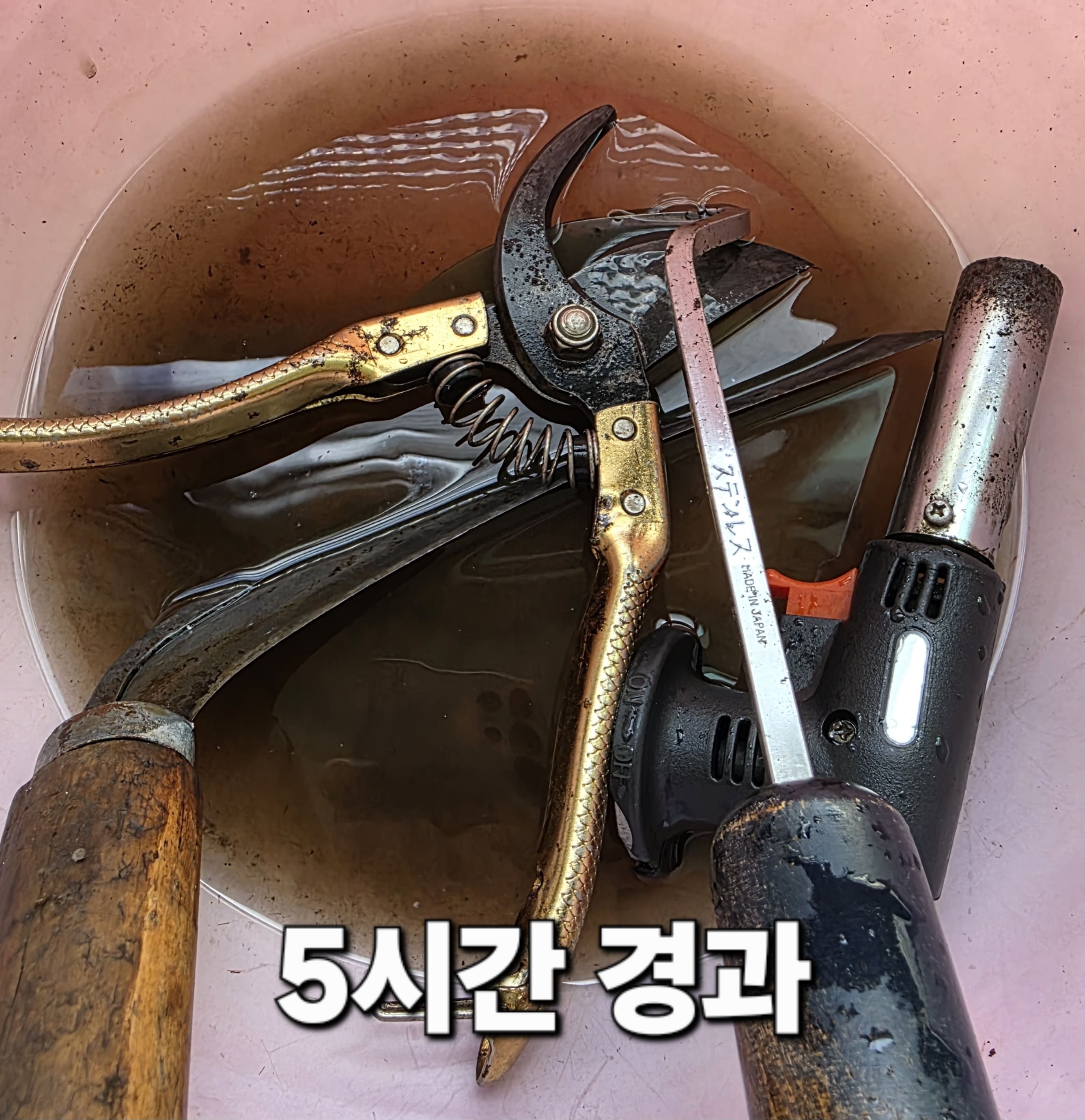녹-제거-방법-식초·구연산-활용해-돈-안-들이고-해결-방법-안내-5시간-정도-지나-확인해-보니-아직-철수세미로-문지르지-않았음에도-불구하고,-대야를-가볍게-흔들어-준-것만으로도-녹이-많이-제거된-것을-확인할-수-있었습니다.