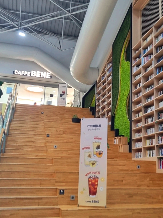 서울 근교 가을꽃 만발한, 경기도 고양시 강매석교공원 창릉천 코스모스축제