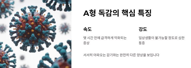 a형 독감 증상