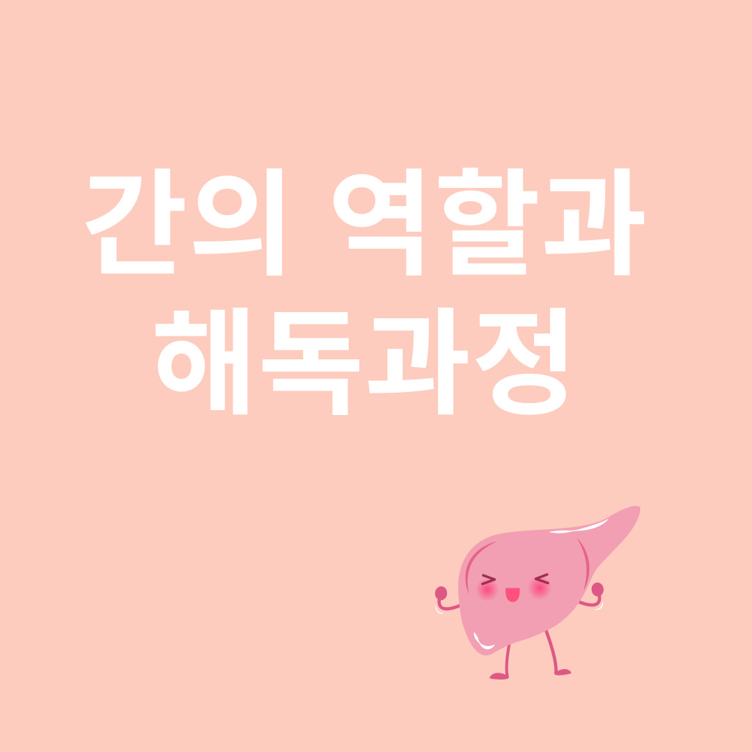 간과 관련된 이미지