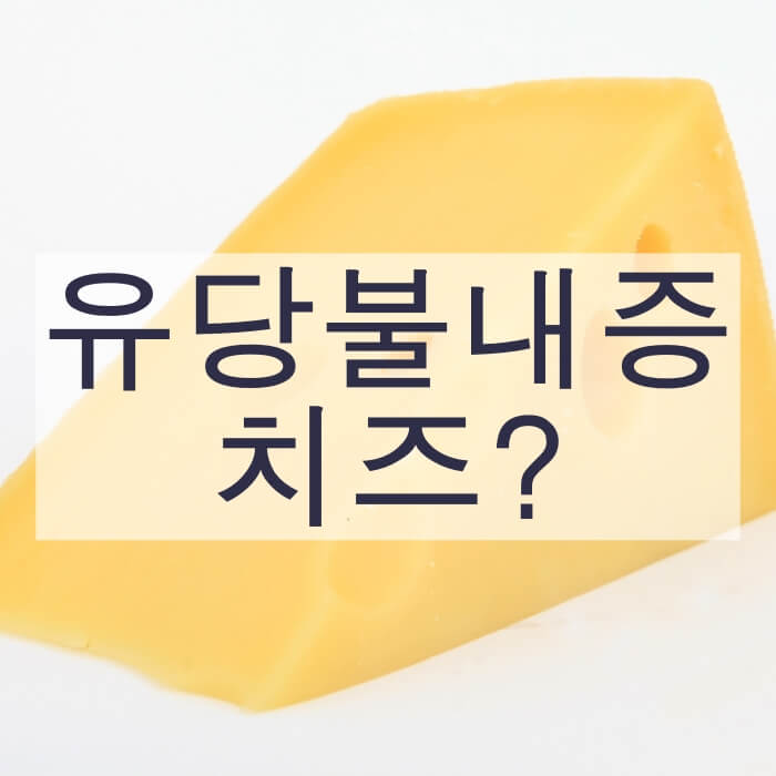 노란색-치즈-사진