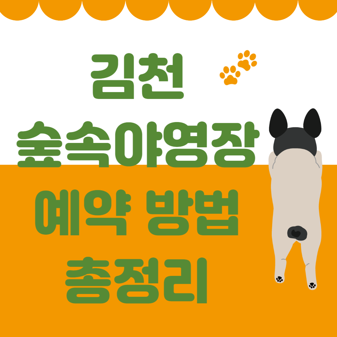 국립 김천 숲속야영장 예약방법 총정리