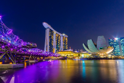 싱가포르-입국신고서