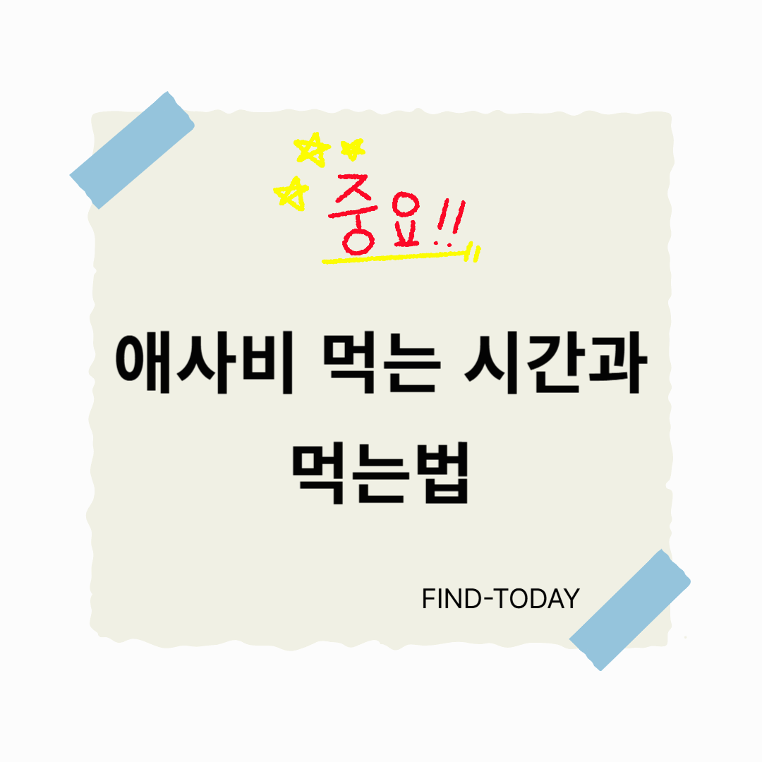 애사비 먹는 시간과 먹는법