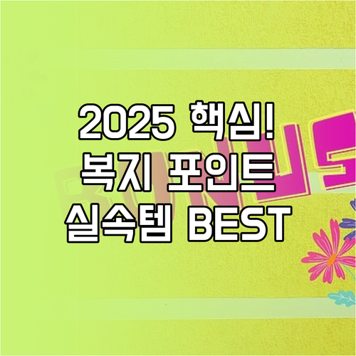 실용성 극대화 2025년 기업 복지 ..